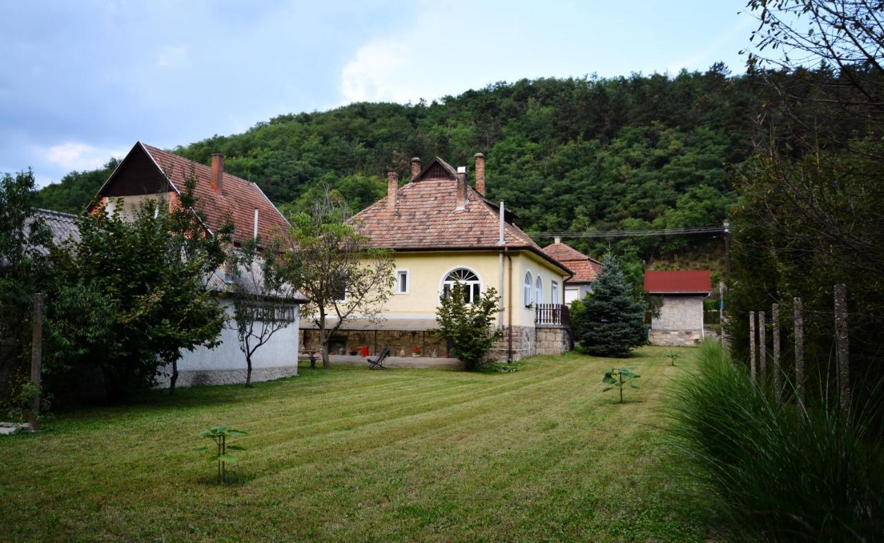 Apartment Halhaza Erdeszlak